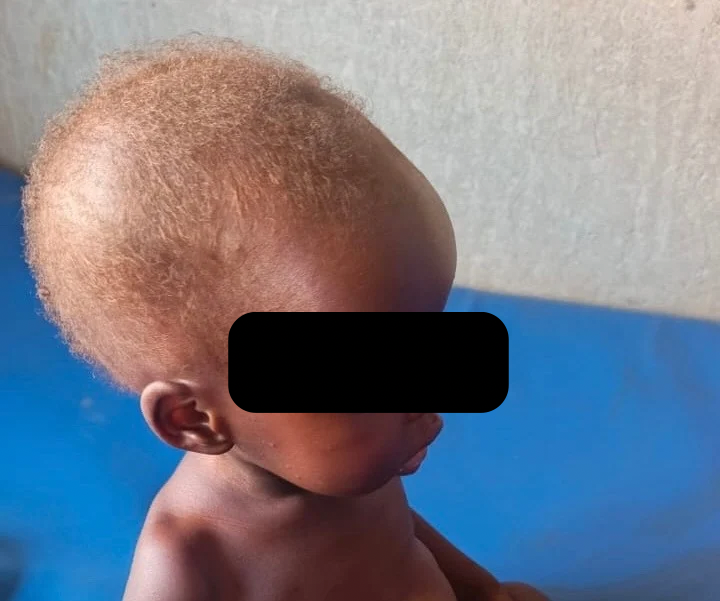 Legal Protections in Education